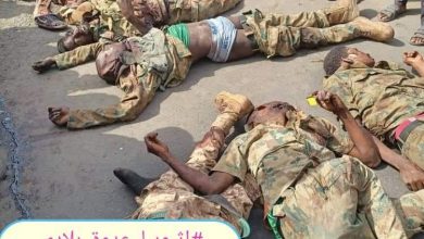 المسار نيوز الجيش الإثيوبي يقتل سبعة جنود سودانيين ومواطن كانوا أسرى لديهم 