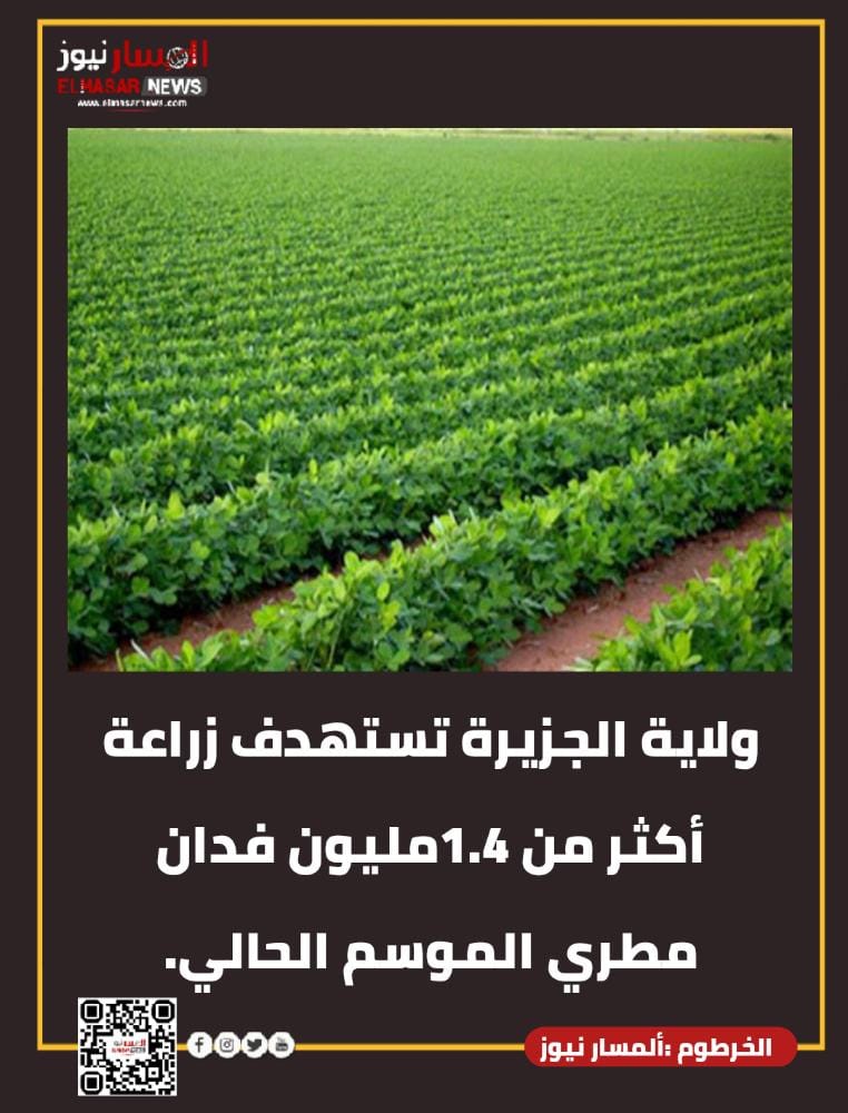 المسار نيوز ولاية الجزيرة تستهدف زراعة أكثر من 1.4مليون فدان مطري الموسم الحالي.