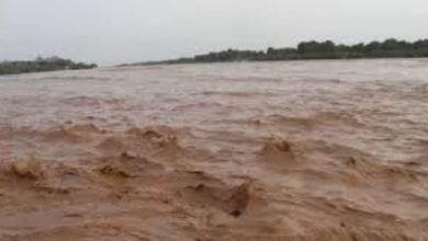 المسار نيوز لجنة طواري "الفيضان" تكشف عن وصول منسوب النيل أعلي المستويات.