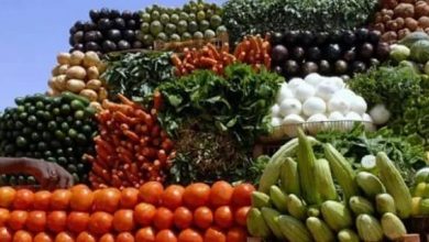المسار نيوز أرتفاع أسعار الخضروات بأسواق الخرطوم.