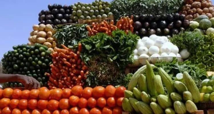 المسار نيوز أرتفاع أسعار الخضروات بأسواق الخرطوم.