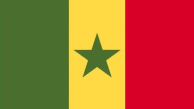 المسار نيوز السنغال تعلن عزمها تطوير التعاون مع السودان
