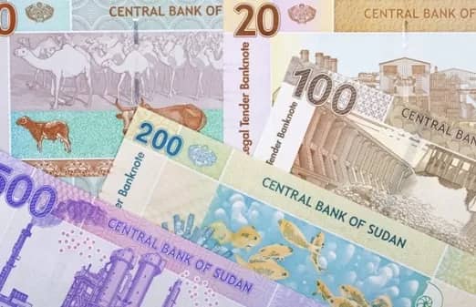 المسار نيوز الجنيه السوداني يتقدم في مؤشر استقرار العملة