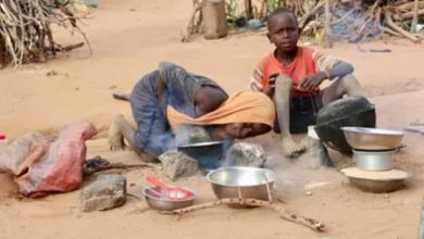 المسار نيوز (مشاد): مخاطر المجاعة تهدد حياة السودانيين بالداخل والخارج