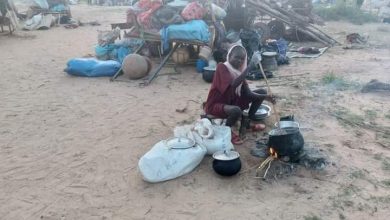 المسار نيوز (مشاد): إنعدام الغذاء دفع نازحين في دارفور لأكل الجراد