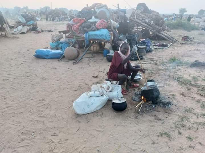 المسار نيوز (مشاد): إنعدام الغذاء دفع نازحين في دارفور لأكل الجراد