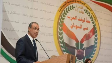 المسار نيوز وزير الخارجية المصري: الأزمة في السودان تتطلب معالجة جذورها عبر حل سياسي شامل